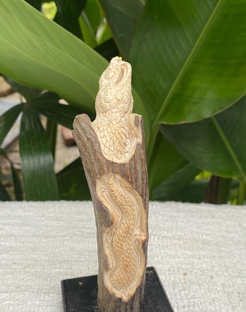 May include: A carved wooden sculpture featuring a detailed relief of a snake and a bird. The sculpture is made of light-colored wood and is mounted on a black base. The background includes green foliage.