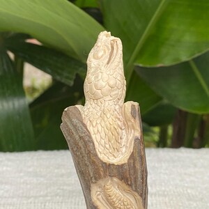 May include: A detailed carving of a snake's head emerging from a piece of wood. The snake is light beige with scales, and the wood is brown with a textured surface. The carving is set against a blurred green background.