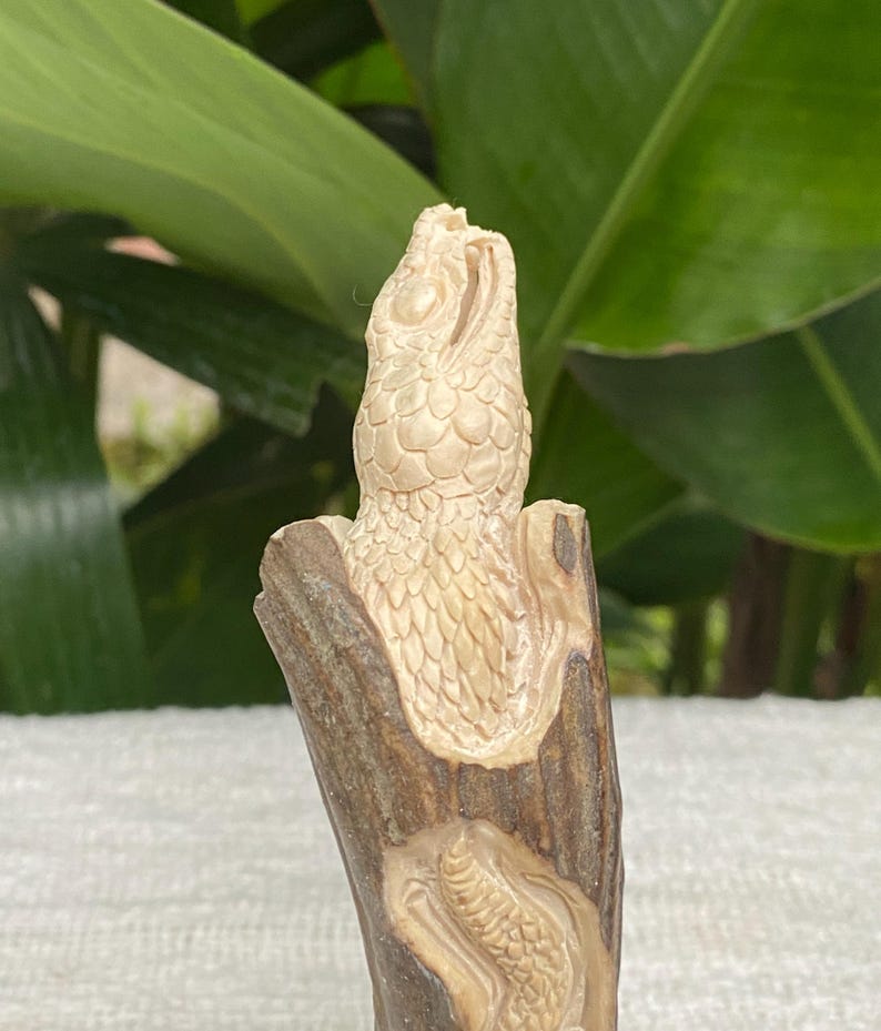 May include: A detailed carving of a snake's head emerging from a piece of wood. The snake is light beige with scales, and the wood is brown with a textured surface. The carving is set against a blurred green background.