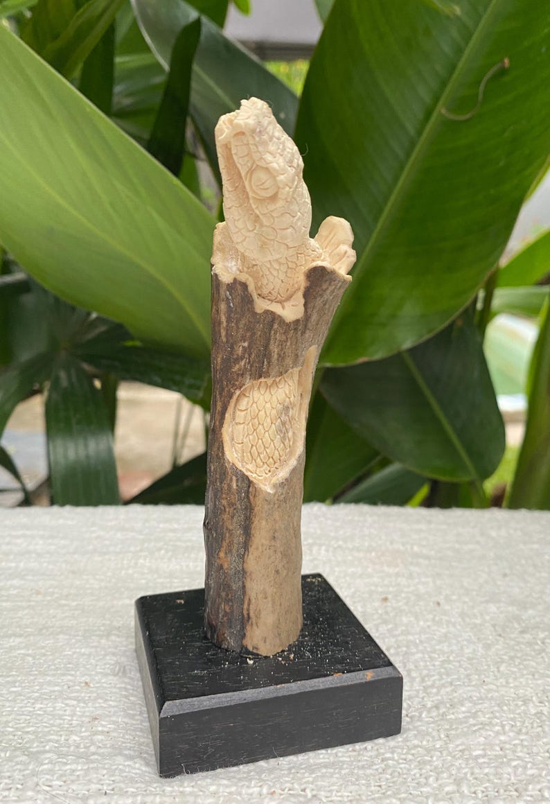May include: A carved sculpture of a snake emerging from a tree trunk. The sculpture is made of a light-colored material, possibly bone or ivory, and is mounted on a black base. The snake's scales and features are intricately detailed.