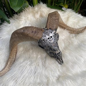 gorgeous Huge Goat Skull, Genuine Carved Ram Skull, Carved Animal Skull and Roses Carving
