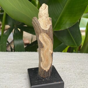 May include: A carved wooden sculpture of a reptile, possibly a snake or dragon, mounted on a black base. The sculpture is light brown and beige, with detailed carvings of scales and features. The wood has a natural, rustic appearance.