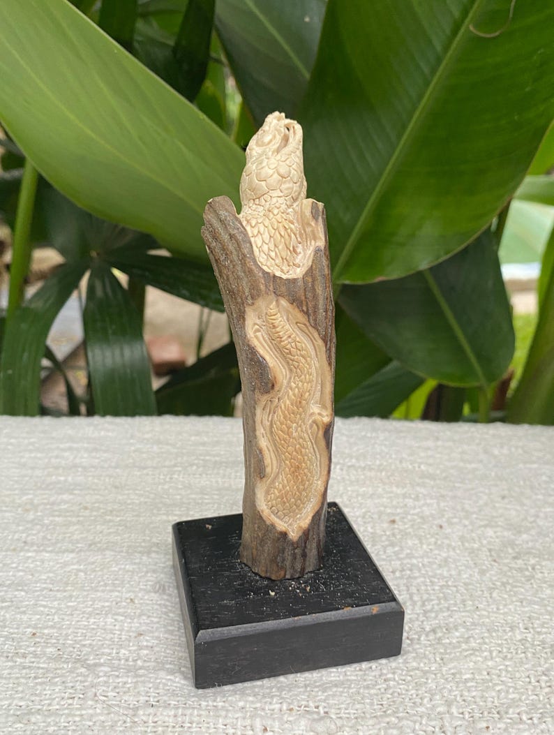 May include: A carved wooden sculpture of a reptile, possibly a snake or dragon, mounted on a black base. The sculpture is light brown and beige, with detailed carvings of scales and features. The wood has a natural, rustic appearance.