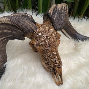 26 Inches amazing Ram Goat Skull Bull Skull Sun Flower Decor Bali Art Skull Animal Skull Timeless design