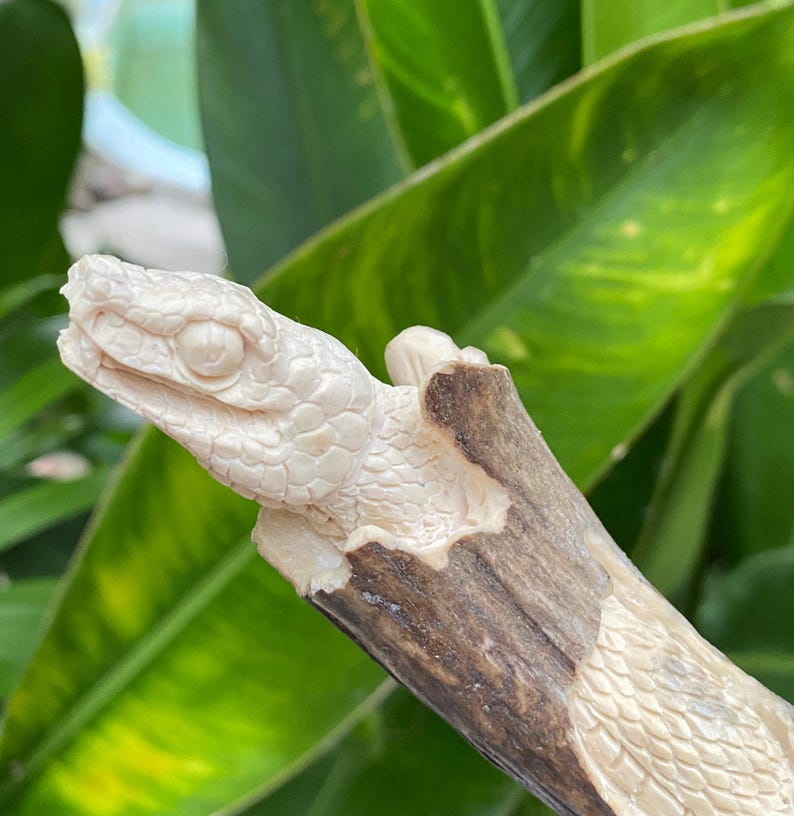May include: A detailed carving of a snake's head, crafted from a light-colored material, possibly bone or ivory. The snake's head is attached to a piece of wood. The carving showcases intricate details, including scales and facial features.