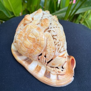 Pode incluir: Escultura de concha esculpida com uma tartaruga marinha, peixe e detalhes intrincados. A escultura é em tons de bege e creme, com um acabamento polido. A tartaruga marinha tem um padrão de casco detalhado. O tema geral é a vida marinha.