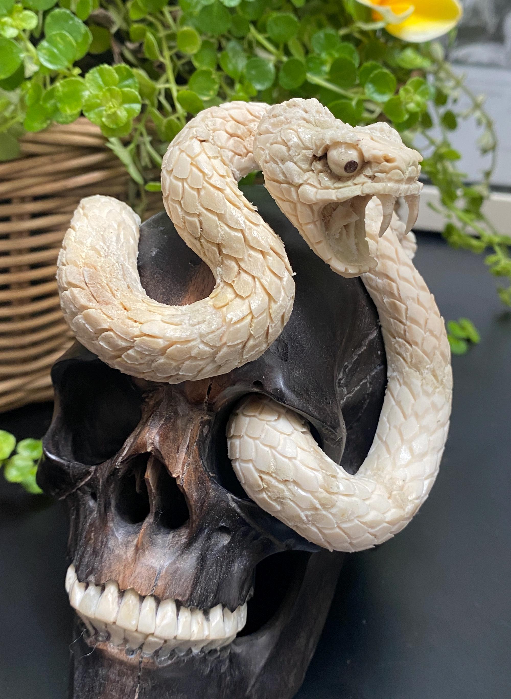 vintage antique skull snake 野ざらし 髑髏 蛇 陶器 Cobra Snake Skull Wooden Sculpture, Antler Carving, Realistic Jaws