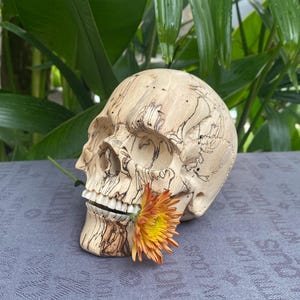 Human Skull Wood Skull Handcarved Wooden Skull Sculpture