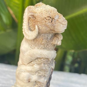 Carved Mountain Goat Antler Knife Handle Indonesian Carved Knife Handle, Carved Goat