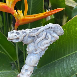 Carved Octopus Skull Knife Handle Carved Knife Handle Antler Carving Indonesian Antler Carving