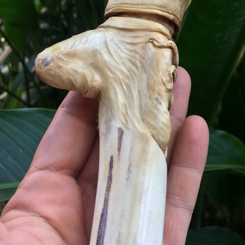 Pirate shops Pirates of the Caribbean Antler Handle Carving Bone Carved Knife Handle Moose Carving