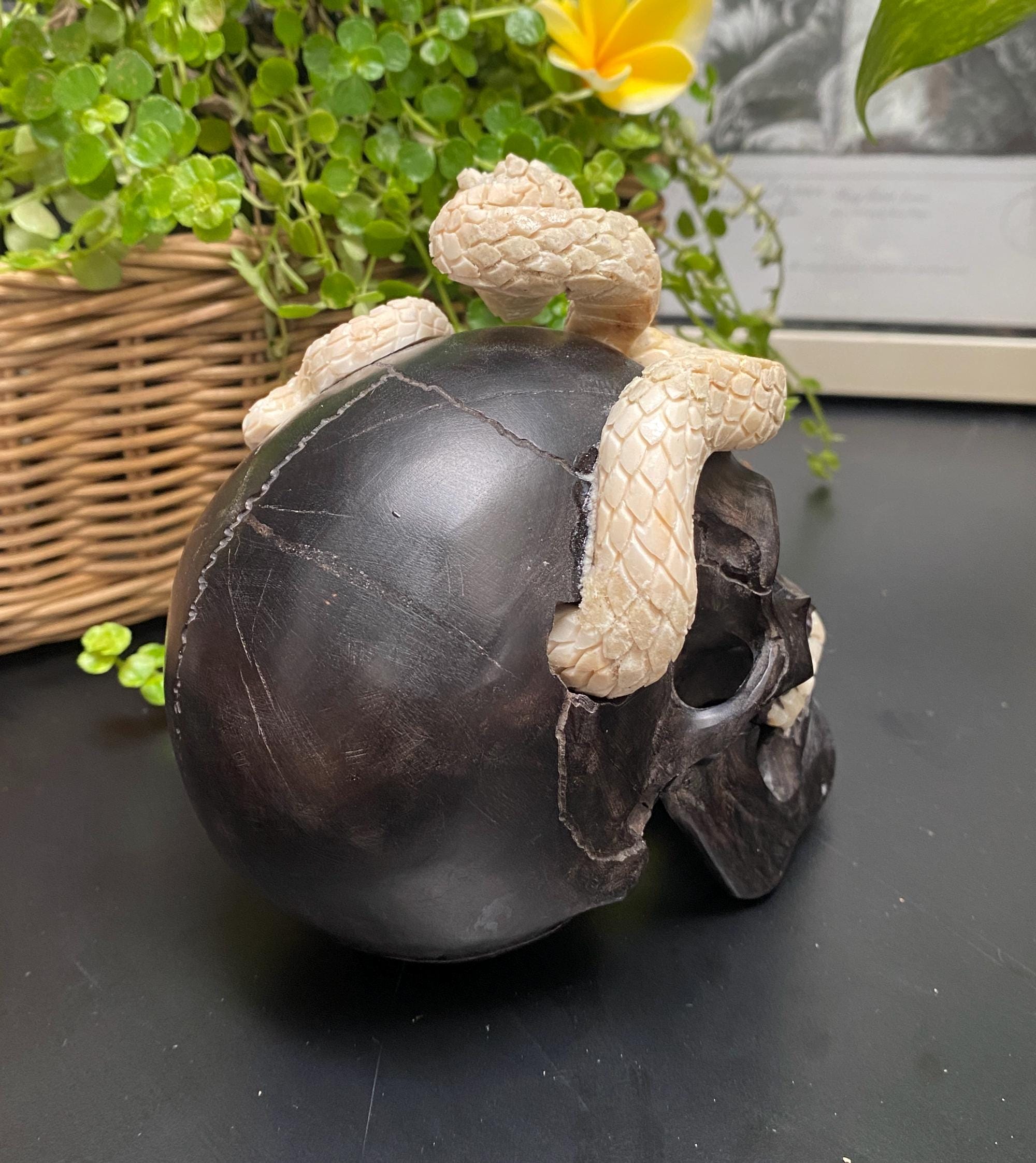 Cobra Snake Skull Wooden Sculpture, Antler Carving, Realistic Jaws