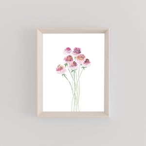 Watercolor Print | Scabiosa | Florals | Botanical