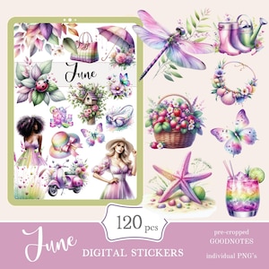 Stickers Goodnotes du mois de juin | Adorable lot d'autocollants numériques | Autocollants d'été pour tous les jours à télécharger PNG | stickers fonctionnels | Notabilité