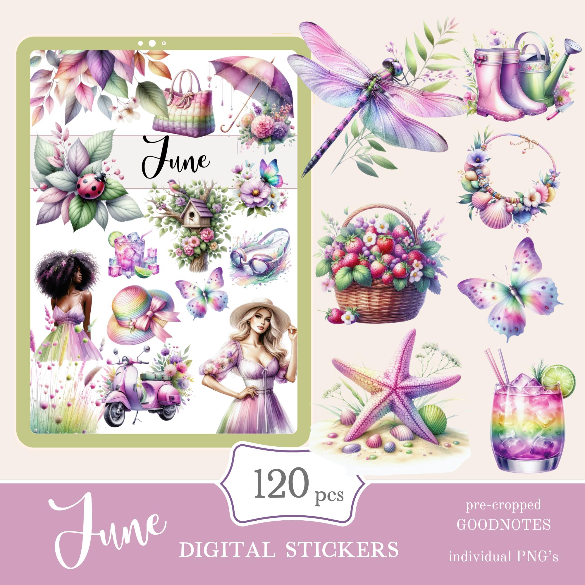 June Summer Digital Stickers | Goodnotes Notability (PNG, PDF) - Etsy