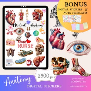 Anatomía Médica Goodnotes Pegatinas / Paquete de pegatinas digitales médicas de enfermera / Pegatinas diarias descargar PNG / pegatinas funcionales / Notabilidad