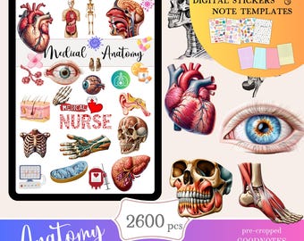 May include: A digital sticker set featuring 2600 anatomical illustrations. The set includes images of the human heart, eye, skull, skeleton, and other organs. The stickers are pre-cropped for use in GoodNotes and other note-taking apps.