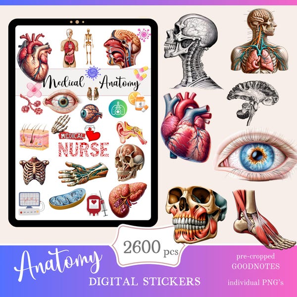 Stickers Goodnotes Anatomy Etsy