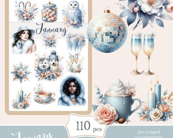 January Winter Digital Stickers | Goodnotes Planner (PNG, PDF)