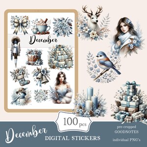 Goodnotes-stickers maand december | schattig digitaal stickerpakket | Winterstickers voor elke dag downloaden png | functionele stickers | Opmerkelijk: