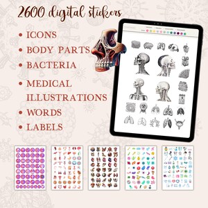May include: A digital download of 2600 medical stickers. The stickers include icons, body parts, bacteria, medical illustrations, words, and labels. The stickers are in a variety of colors and styles.