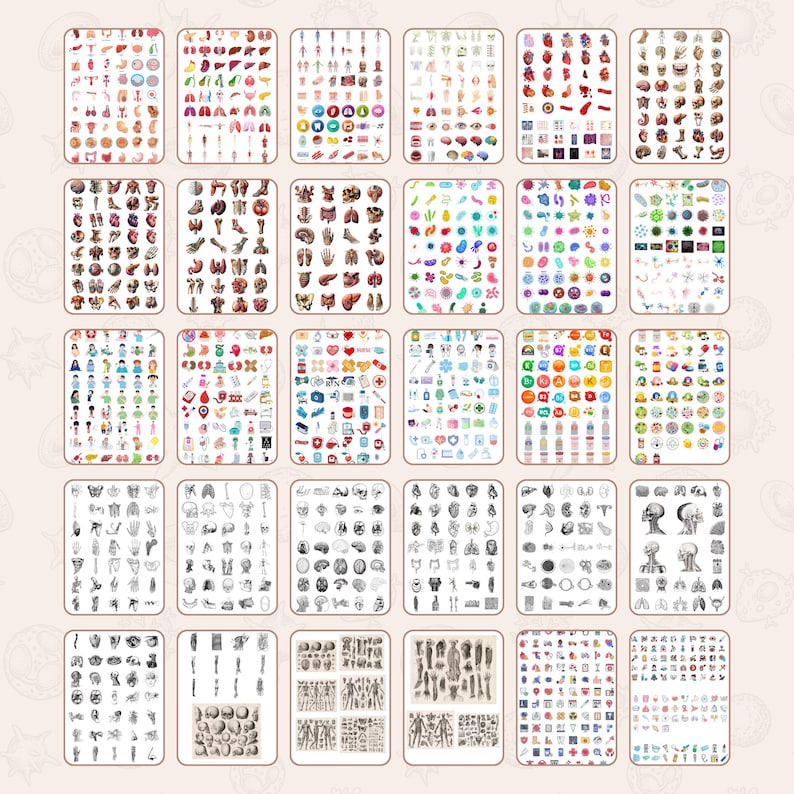 May include: A set of 60 colorful digital illustrations of various human organs and body parts. The illustrations are in a cartoon style and are perfect for use in medical or educational materials.