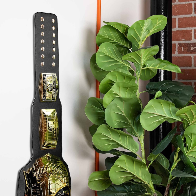 TrophySmack Championship Belt Hanging Wall Mount