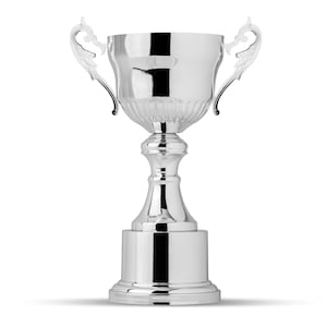 Silver Cup Topper Trophy, Fantasy Football Trophy, Fantasy Football, Perpetual Trophy, Football Trophy, Sports Trophy, Trophy, Silver Cup