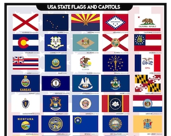 USA State Flags & Capitols Poster - Digital Download