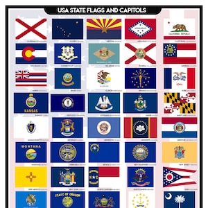 Póster de banderas y capitolios del estado de EE. UU. - Descarga digital