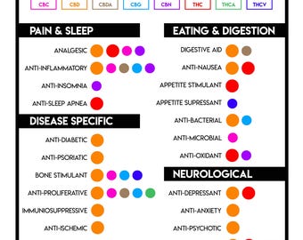 Benefits of CBD & THC - Digital Download