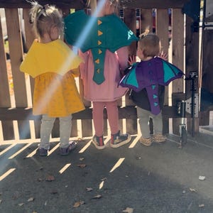 K&ouml;nnte beinhalten: Drei Kinder in Drachenkost&uuml;men stehen vor einem Holzzaun. Die Kost&uuml;me sind gelb, gr&uuml;n und lila, mit Umh&auml;ngen und Schwanzdetails. Die Kinder tragen Leggings und Schuhe.