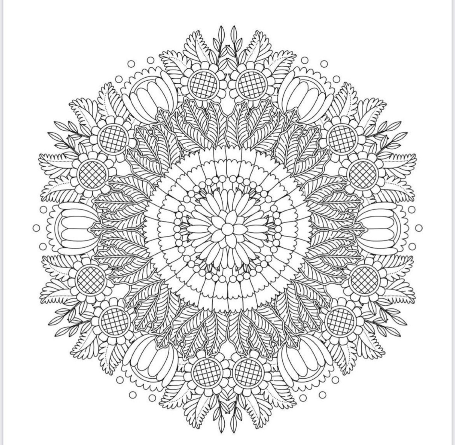 Nature inspired mandala coloring pages Etsy