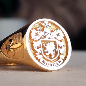 Family Crest wapenschild aangepaste ring voor gepersonaliseerde ringen, aangepaste ring met gepersonaliseerd goud en zilver afbeelding 1