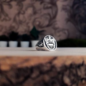 Family Crest wapenschild aangepaste ring voor gepersonaliseerde ringen, aangepaste ring met gepersonaliseerd goud en zilver afbeelding 5