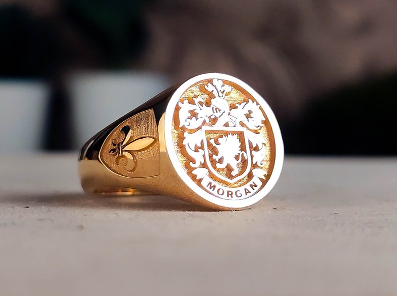 Family Crest wapenschild aangepaste ring voor gepersonaliseerde ringen, aangepaste ring met gepersonaliseerd goud en zilver afbeelding 1