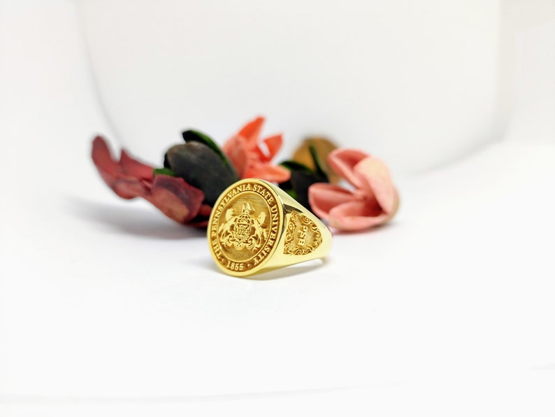 Zodiac Signet Gold Signet Ring, Personalized Ring for Astrology Lovers Gift, Zodiac Jewelry for Birthday Gift image 4