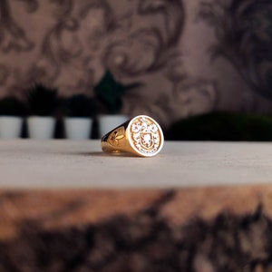 Family Crest wapenschild aangepaste ring voor gepersonaliseerde ringen, aangepaste ring met gepersonaliseerd goud en zilver afbeelding 2