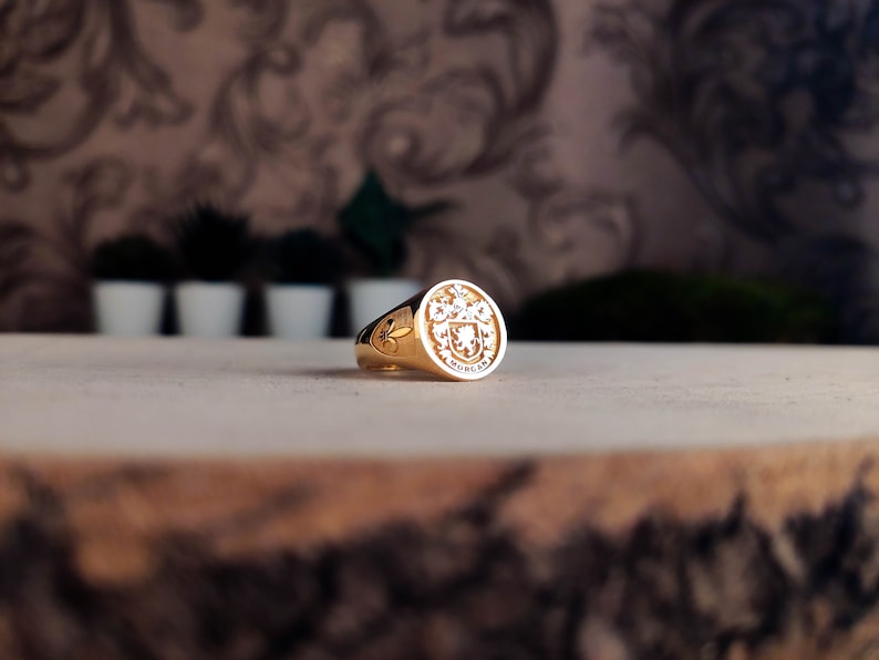 Family Crest wapenschild aangepaste ring voor gepersonaliseerde ringen, aangepaste ring met gepersonaliseerd goud en zilver afbeelding 2