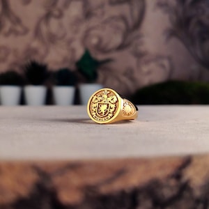 Family Crest wapenschild aangepaste ring voor gepersonaliseerde ringen, aangepaste ring met gepersonaliseerd goud en zilver afbeelding 3