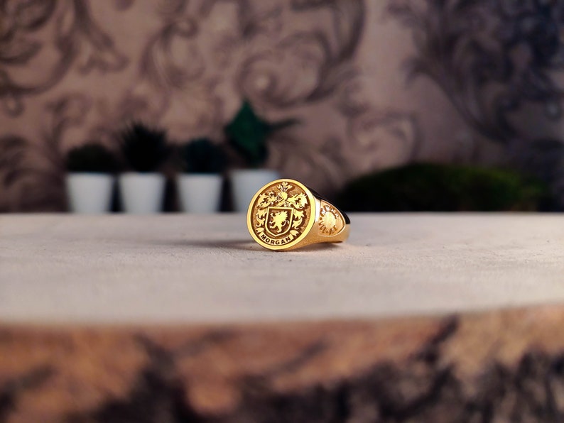 Familienwappen Wappen Benutzerdefinierter Ring für personalisierte Ringe, benutzerdefinierter Ring mit personalisiertem Gold und Silber Bild 3