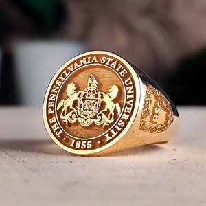 Familienwappen Wappen Benutzerdefinierter Ring für personalisierte Ringe, benutzerdefinierter Ring mit personalisiertem Gold und Silber Bild 4