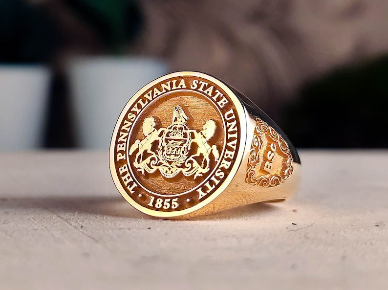 Family Crest wapenschild aangepaste ring voor gepersonaliseerde ringen, aangepaste ring met gepersonaliseerd goud en zilver afbeelding 4