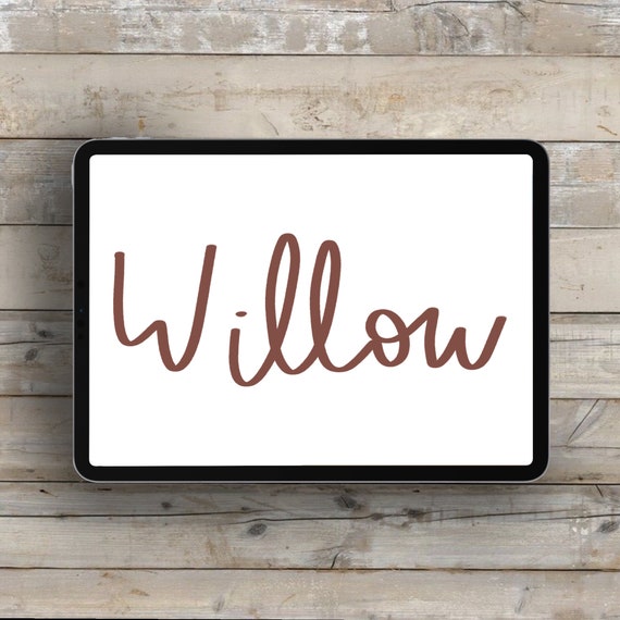 Willow Procreate Brush