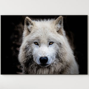 Arte della tela di lupo grigio, arte della parete del lupo, foto del lupo grigio, poster del lupo grigio, decorazione della parete del lupo grigio, lupo bianco e nero, arte della parete degli animali della fauna selvatica