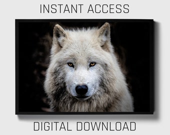 Wolf print, wildlife wall art, digital download, animal photography, minimalist decor, forest art, instant download, grey wolf art, nature