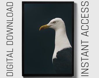 Gull photography, digital download, printable wall art, nature wall decor, minimalist print, instant download, bird wall art, coastal art,