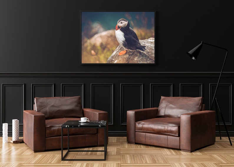 Puffin Photo Print, Puffin Snapshot, Photo Art Print, Puffin Wall Decor, Puffin Home Decor, Puffin Wall Art, Bird Photo Print, image 8