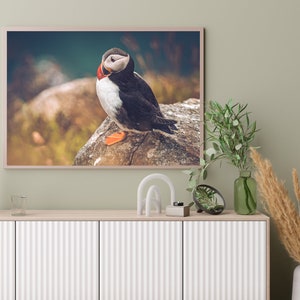 Puffin Photo Print, Puffin Snapshot, Photo Art Print, Puffin Wall Decor, Puffin Home Decor, Puffin Wall Art, Bird Photo Print, image 9