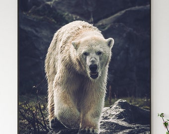 Polar Bear Poster, Ice Bear Canvas, Spitzbergen Norway Arctic, Valentines Day Gift, Wall Decor Art Print Image,